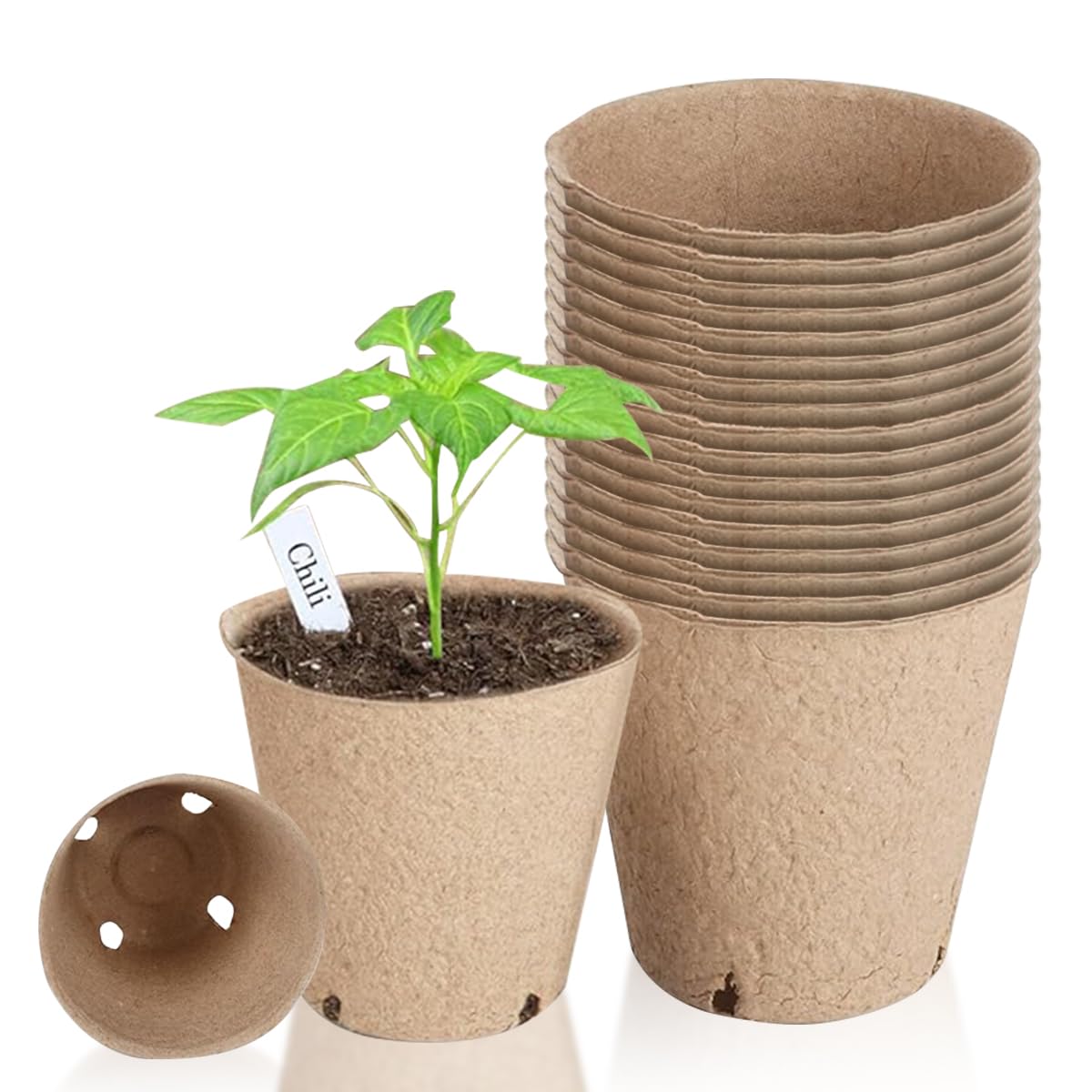 HASTHIP 20Pcs Degradable Nursery Seedlings Pot - 8cm Mini Flower Pots - Pots For Plants Nursery Pots With Draining Holes Pots for Indoor Plants - Plant Pots for All Kinds Flower Plant & Nursery Use HASTHIP 20Pcs Degradable Nursery Seedlings Pot - 8cm Mini Flower Pots - Pots For Plants Nursery Pots With Draining Holes Pots for Indoor Plants - Plant Pots for All Kinds Flower Plant & Nursery Use
